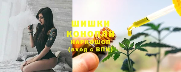 ПСИЛОЦИБИНОВЫЕ ГРИБЫ Новозыбков
